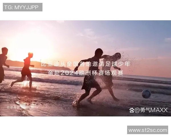 欧洲杯赛事媒体报道及公众关注度 欧洲杯赛事媒体报道及公众关注度